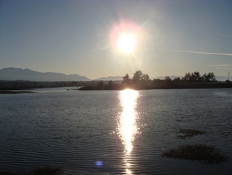 Sept 10, 2009 020
