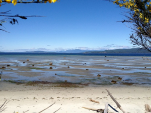 Savary Island.ca