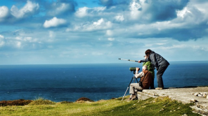 Looking for Something - Solutions for Financial Services Professionals