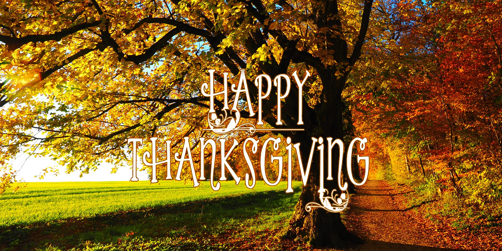 Happy Thanksgiving From Simon and Laura Reilly