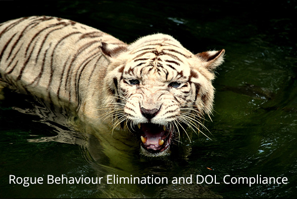 Rogue Behaviour Elimination and DOL Compliance